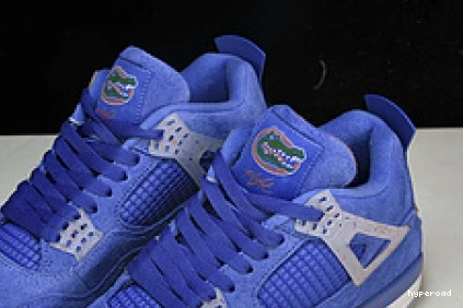 Hyperoad Jordan Air Gators